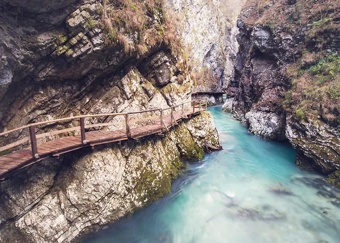 Semesterbostad My Time Bled House With Sauna